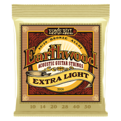 ERNIE BALL GITARA AKUSTIČNA EARTHWOOD 10-50 ŽICE