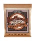 ERNIE BALL GITARA AKUSTIČNA EARTHWOOD 10-50 PB ŽICE