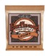 ERNIE BALL GITARA AKUSTIČNA EARTHWOOD 11-52 PB ŽICE