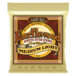 ERNIE BALL GITARA AKUSTIČNA EARTHWOOD 12-54 ŽICE