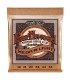 ERNIE BALL GITARA AKUSTIČNA EARTHWOOD 12-54 PB ŽICE