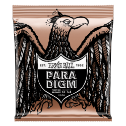ERNIE BALL GITARA AKUSTIČNA PARADIGM 12-54 PB ŽICE