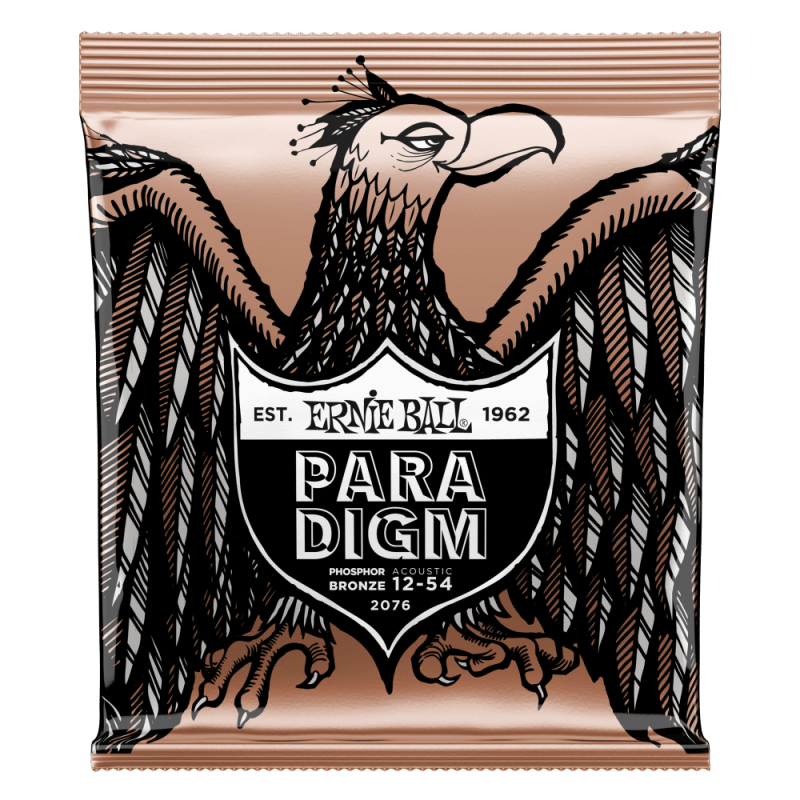 ERNIE BALL GITARA AKUSTIČNA PARADIGM 12-54 PB ŽICE