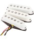 FENDER TEX MEX STRAT SET PICKUP