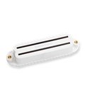 SEYMOUR DUNCAN SCR-1b Cool Rails for Strat WH PICKUP