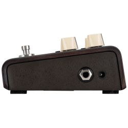 LR BAGGS ALIGN DELAY PEDALA EFEKT