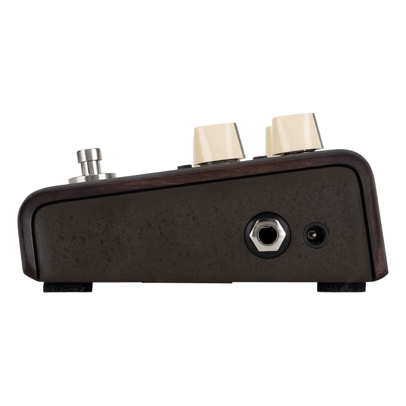 LR BAGGS ALIGN DELAY PEDALA EFEKT