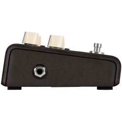 LR BAGGS ALIGN DELAY PEDALA EFEKT
