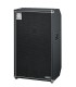 AMPEG SVT-610HLF ZVUČNA KUTIJA