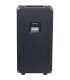 AMPEG SVT-210AV ZVUČNA KUTIJA