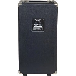 AMPEG SVT-210AV ZVUČNA KUTIJA