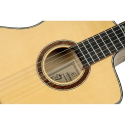 ORTEGA BILLY WATMAN SIGNATURE BYWSM GITARA ELEKTRO-KLASIČNA