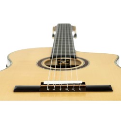 ORTEGA BILLY WATMAN SIGNATURE BYWSM GITARA ELEKTRO-KLASIČNA