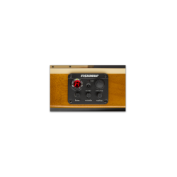 LTD TL-6 NAT GITARA ELEKTRO-AKUSTIČNA