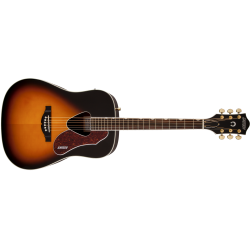 GRETSCH G5024E RANCHER DREADNOUGHT GITARA ELEKTRO-AKUSTIČNA