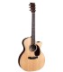 MARTIN GPC-16E Rosewood GITARA ELEKTRO-AKUSTIČNA