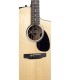 MARTIN SC-10E-01 GITARA ELEKTRO-AKUSTIČNA