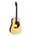 MARTIN D-18 GITARA AKUSTIČNA
