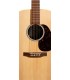 MARTIN D-X2R Rosewood GITARA ELEKTRO-AKUSTIČNA