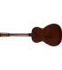 GRETSCH JIM DANDY CONCERT WPG RXB GITARA AKUSTIČNA