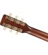 GRETSCH JIM DANDY CONCERT DELTO TSPG BLKT GITARA ELEKTRO-AKUSTIČNA