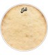 EVANS BD24CT CALFTONE 24" PLASTIKA