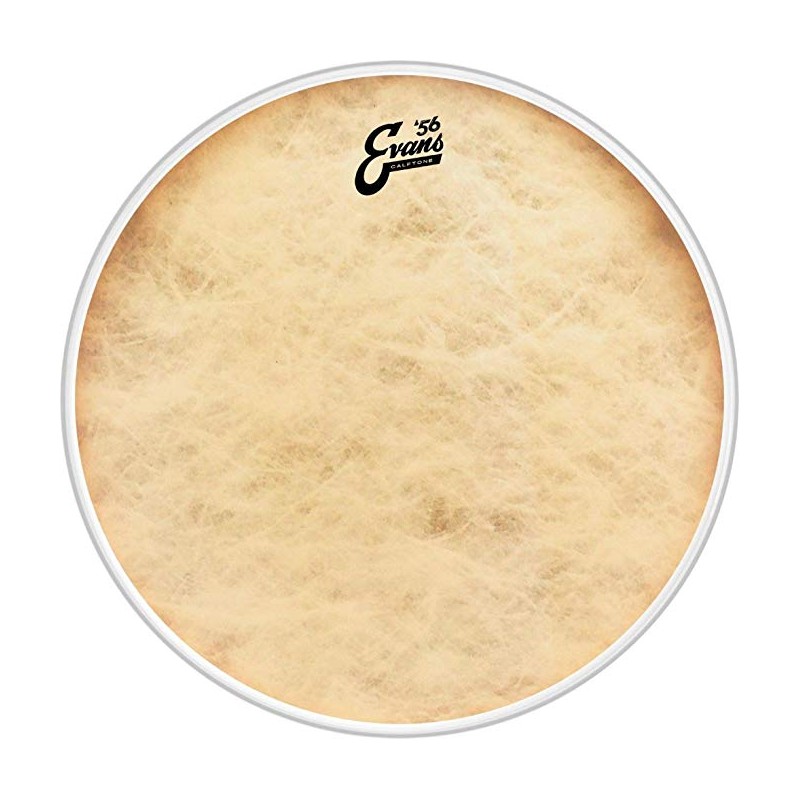 EVANS BD24CT CALFTONE 24" PLASTIKA