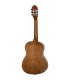 ORTEGA RPPC34 3/4 PACK KLASIČNA GITARA