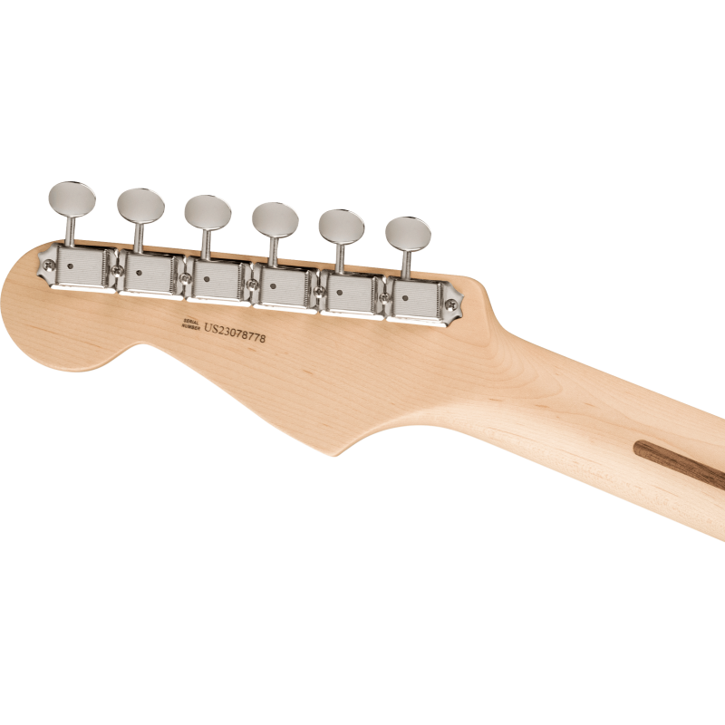 FENDER ARTIST ERIC CLAPTON STRATOCASTER BLACKIE GITARA ELEKTRIČNA