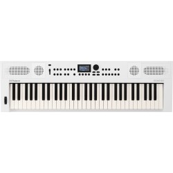 ROLAND GO:61KEYS 5 WH SYNTHESIZER