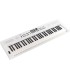 ROLAND GO:61KEYS 5 WH SYNTHESIZER
