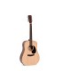 DITSON D-10 GITARA AKUSTIČNA