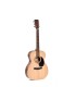 DITSON 000-10 GITARA AKUSTIČNA