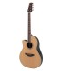 OVATION CELEBRITY TRAD CS24L-4 GITARA ELEKTRO-AKUSTIČNA