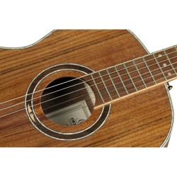 ORTEGA RE30TH-ACA 30th Anniversary GITARA ELEKTRO-KLASIČNA