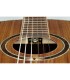 ORTEGA RE30TH-ACA 30th Anniversary GITARA ELEKTRO-KLASIČNA