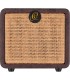 ORTEGA PTWO ACOUSTIC 12W POJAČALO
