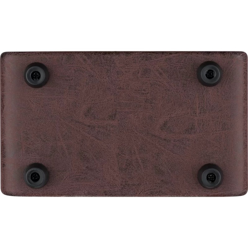 ORTEGA PTWO ACOUSTIC 12W POJAČALO