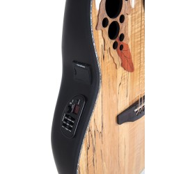 OVATION CELEBRITY ELITE CE44P-SM SPALTED MAPLE EXOTIC GITARA ELEKTRO-AKUSTIČNA