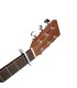 D'ADDARIO PW-CP-02S KAPODASTER