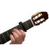 D'ADDARIO PW-CP-09 tri-action capo BK KAPODASTER