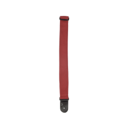 D'ADDARIO PWS101 POLYPROPYLENE RD REMEN