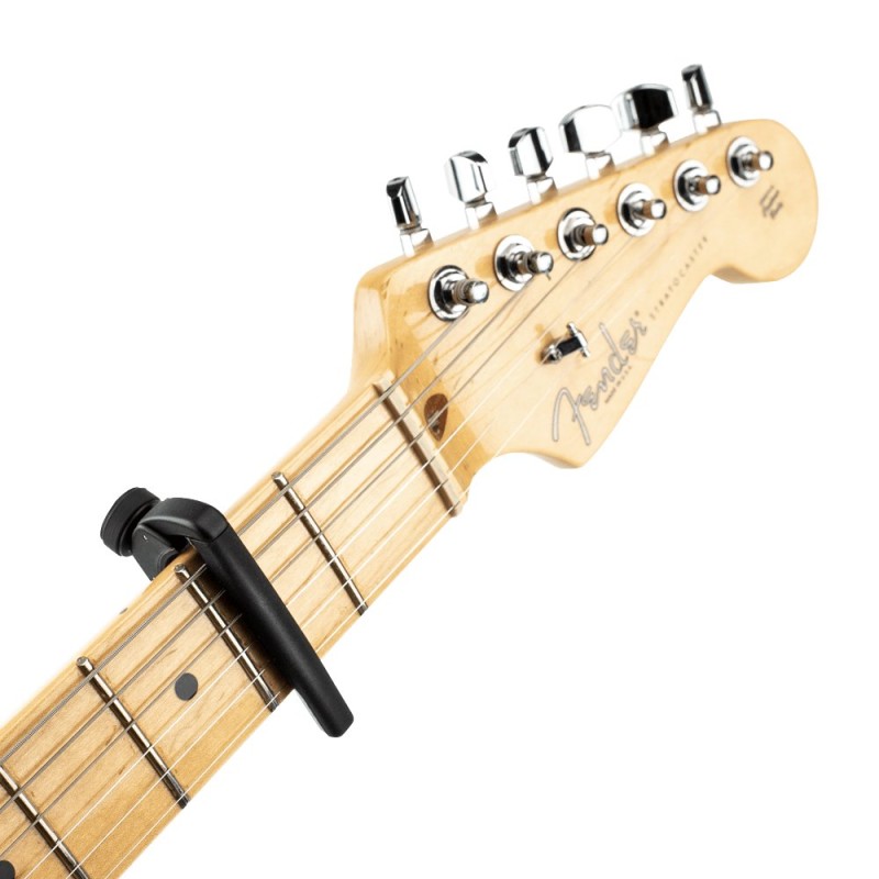 D'ADDARIO PW-CP-19 KAPODASTER