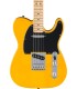 FENDER STANDARD TELECASTER MN BPG BTB GITARA ELEKTRIČNA