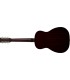 GRETSCH JIM DANDY PARLOR ST HRTG BRST LTD GITARA AKUSTIČNA