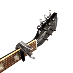 D'ADDARIO PW-CP-10 S ARTIST SILVER KAPODASTER