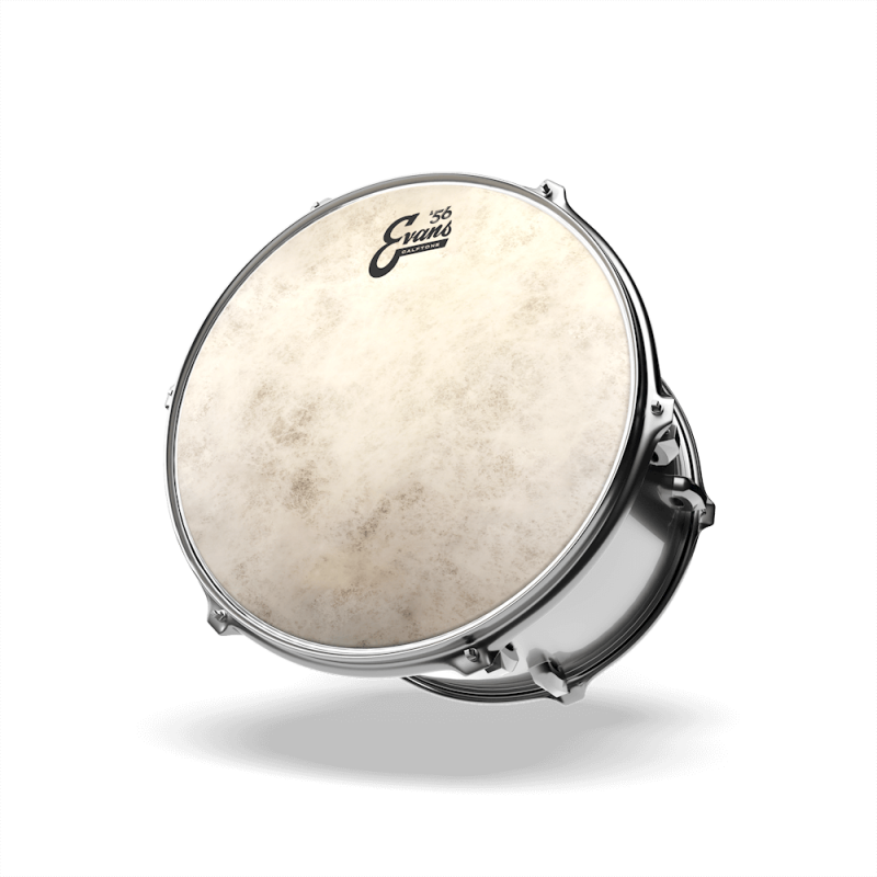 EVANS TT14C7 14" CALFTONE PLASTIKA