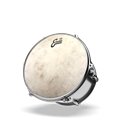 EVANS TT14C7 14" CALFTONE PLASTIKA