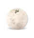 EVANS TT18C7 18" CALFTONE PLASTIKA
