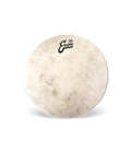 EVANS TT18C7 18" CALFTONE PLASTIKA